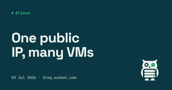One Public IP, Many VMs — Port-Splitting a Proxmox Host with nftables